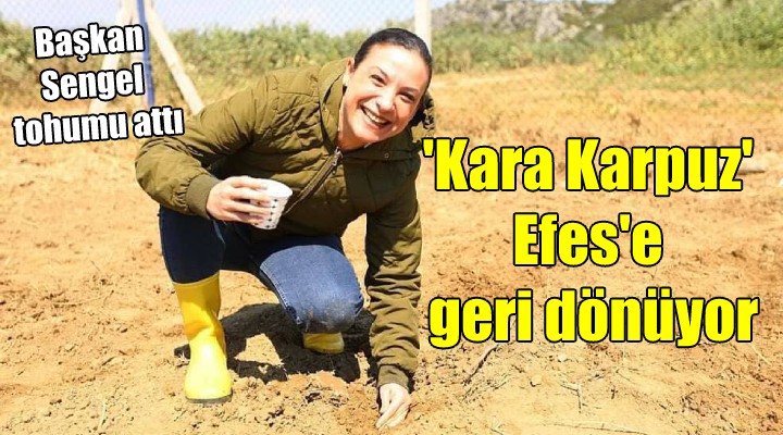 Kara Karpuz Efes'e dönüyor