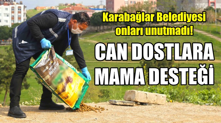 Karabağlar'da can dostlara mama desteği