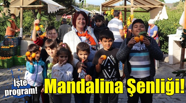 Karaburun'da Mandalina Şenliği heyecanı!