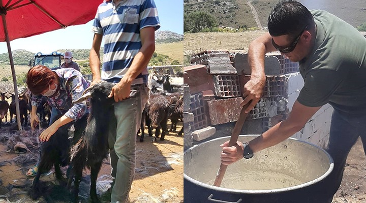 Karaburun'da kırkım şenliği