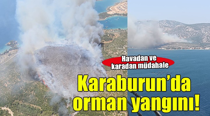 Karaburun'da orman yangını!