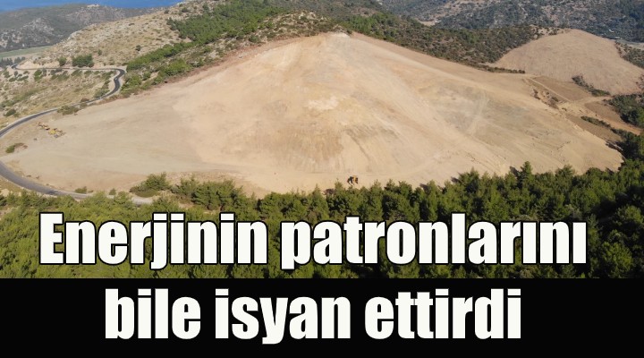 Karaburun katliamı enerji patronlarını bile isyan ettirdi!