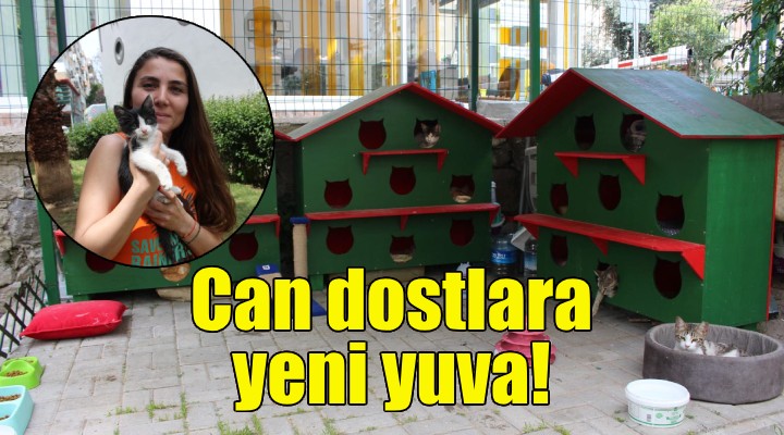 Karşıyaka Belediyesi'nden can dostlara yeni yuva!