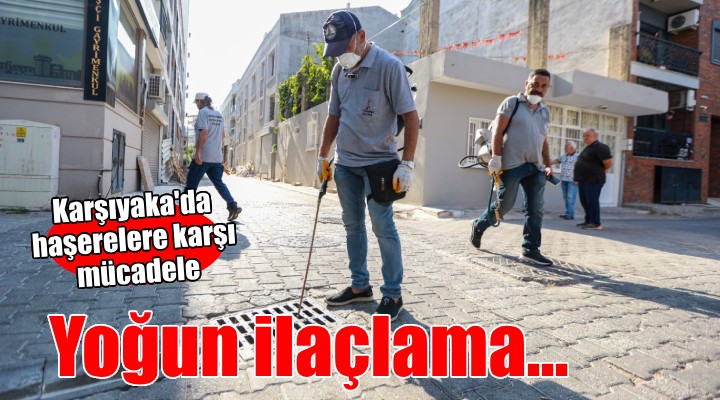 Karşıyaka'da haşerelere karşı yoğun mücadele...