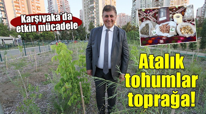 Karşıyaka'da yerel tohumlar toprakla buluşuyor...