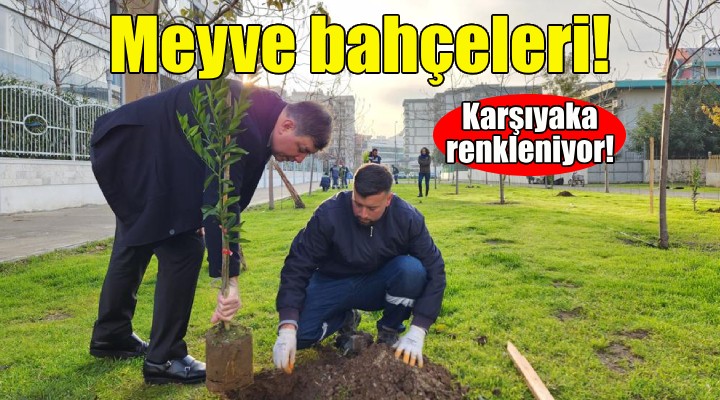 Karşıyaka meyve bahçeleriyle renkleniyor!