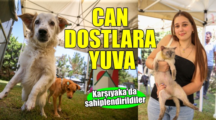 Karşıyaka'da can dostlar yeni yuvalarına kavuştu