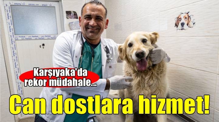 Karşıyaka'da can dostlara kapsamlı hizmet