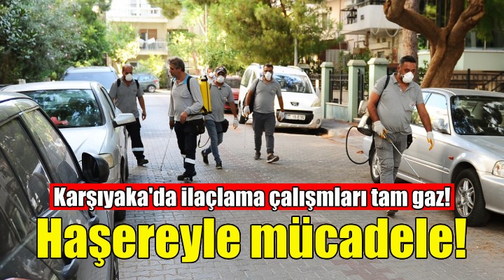 Karşıyaka’da haşereyle kararlı mücadele!