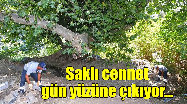 Kavacık'ın saklı cenneti gün yüzüne çıkıyor