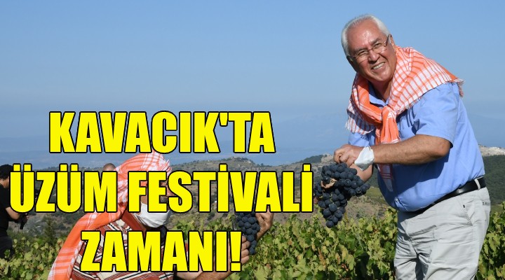 Kavacık'ta Üzüm Festivali zamanı!