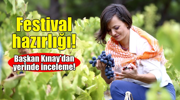 Kavacık'ta festival hazırlığı... Başkan Kınay'dan yerinde inceleme!