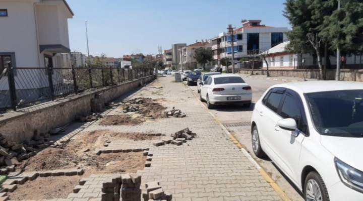 Kaymakam'ın evine kapı açılması için ağaçları kestiler!