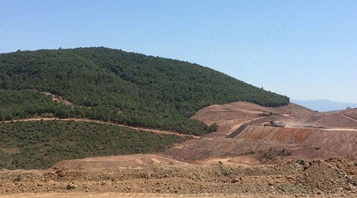 Kazdağları'nda binlerce ağaç kestiler, bir de tazminat istiyorlar!