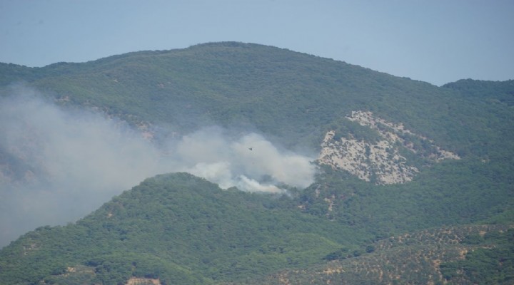 Kazdağları'nda orman yangını!