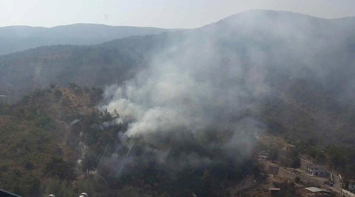 Kemalpaşa'da ormanlık alanda yangın