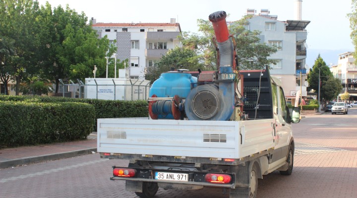 Kemalpaşa'da sinekle yoğun mücadele!