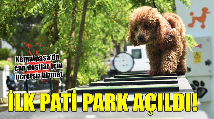 Kemalpaşa'da ilk pati park açıldı...