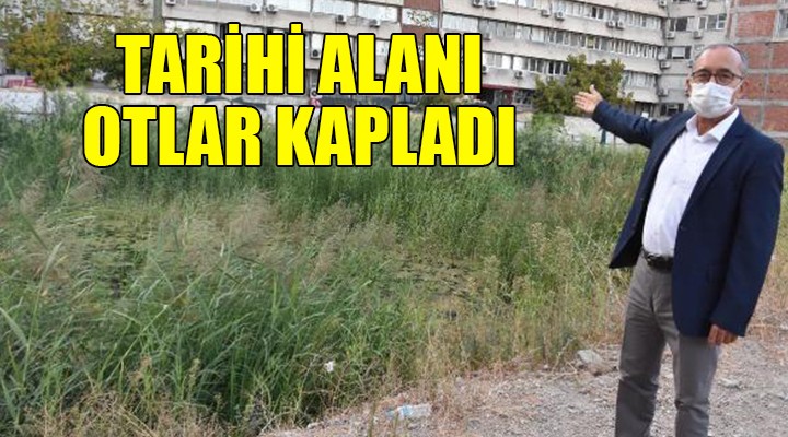 Kemeraltı'ndaki tarihi alanı otlar kapladı