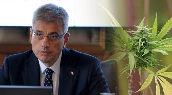 Kenevir hangi hastalara verilecek?
