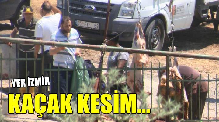 İzmir'de kesim yeri karşısında kaçak kesim