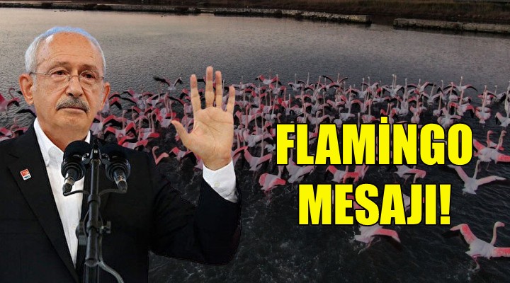 Kılıçdaroğlu'ndan flamingo mesajı!