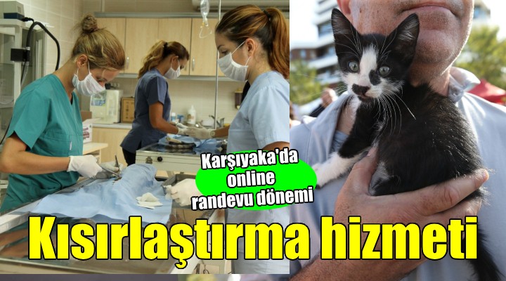 Kısırlaştırma hizmetlerinde online randevu dönemi