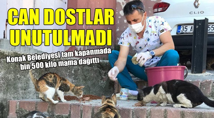 Konak Belediyesi can dostların yanında