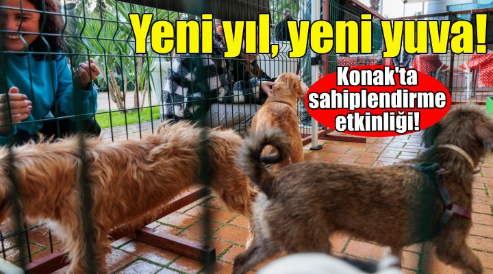 Konak'ta sahiplendirme etkinliği... Yeni yıl, yeni yuva!