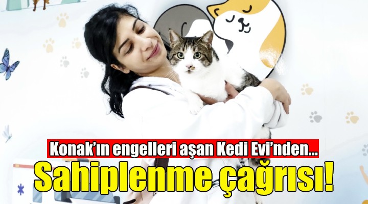 Konak'ın engelleri aşan Kedi Evi'nden sahiplenme çağrısı!