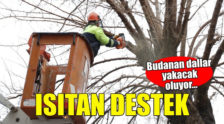 Konak'ta budanan ağaçlar yürekleri ısıtıyor