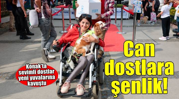 Konak'ta can dostlara özel şenlik: Yeni yuvalarına kavuştular
