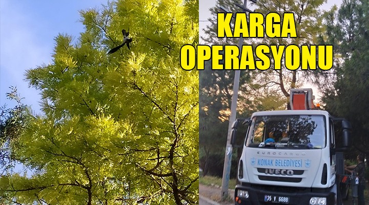 Konak'ta karga operasyonu