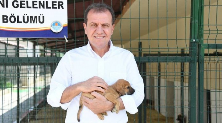 Köpek havladı diye CHP'li başkana soruşturma!