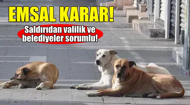 Köpek saldırısında belediyeler ve valilik sorumlu!