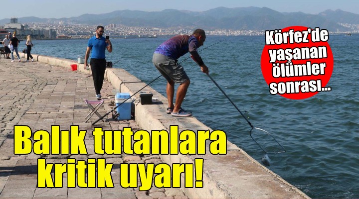 Körfez'de balık tutanlara kritik uyarı!