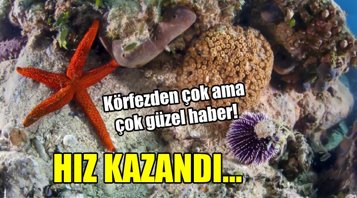 Körfezden çok ama çok güzel haberler!