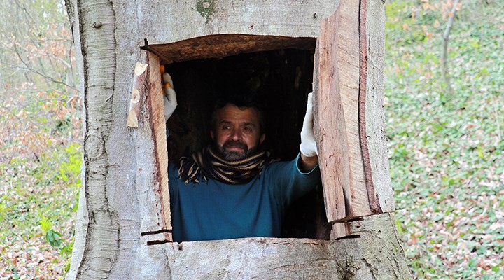 Koronavirüsten kaçmak için ağaç kovuğuna giren adama soruşturma