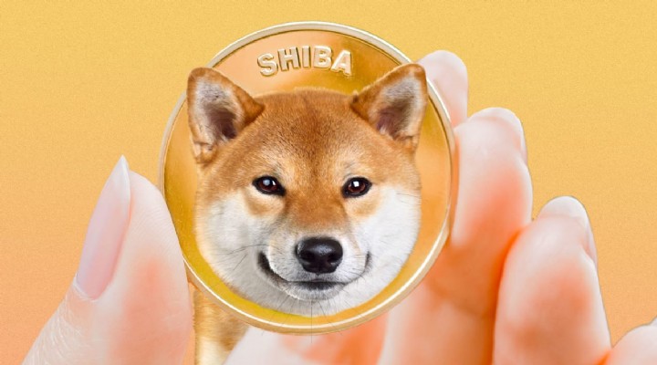 Kripto para piyasaları Shiba Inu’yu konuşuyor!