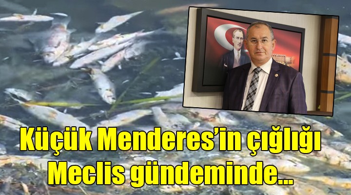 Küçük Menderes'in çığlığı Meclis gündeminde