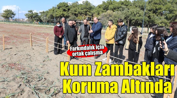 Kum Zambakları Koruma Altında