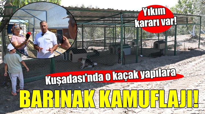 Kuşadalı turizmciden çiftliğindeki kaçak yapılara barınak kamuflajı...