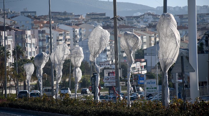 Kuşadası'nda ağaçlara özel koruma!