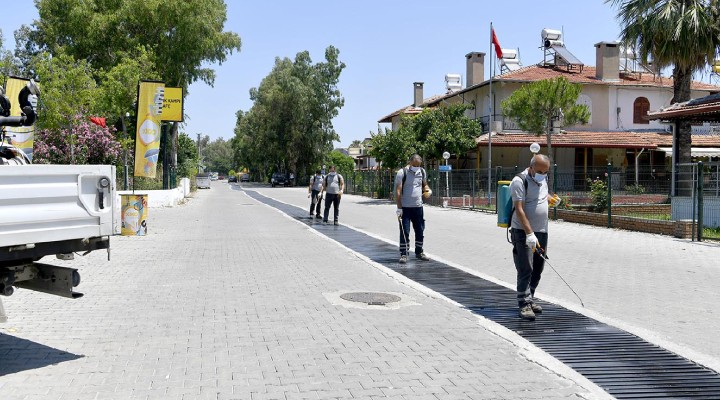 Kuşadası'nda sivrisinek ve haşerelerle düzenli mücadele!