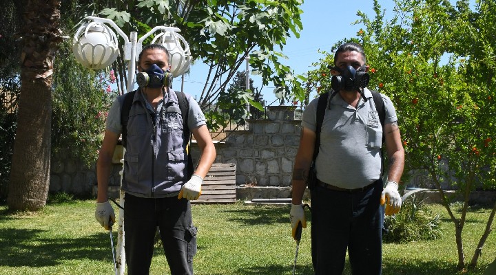 Kuşadası'nda sivrisinek ve haşerelere karşı mücadele