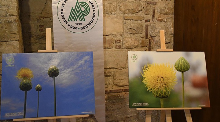 Kuşadası'nın 'Tülüşah'ını fotoğraflarla anlattılar