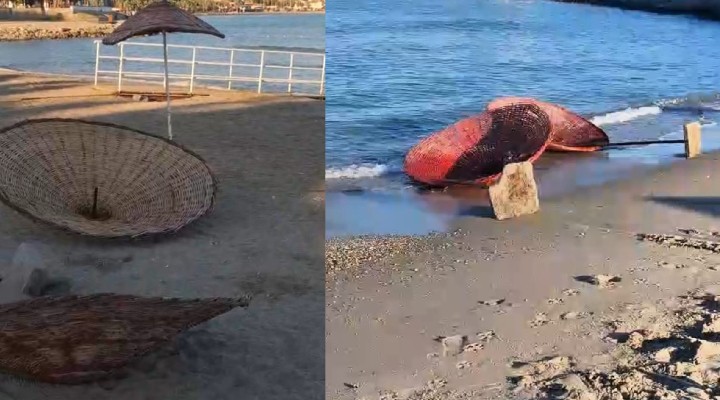 Kuşadası plajı vandalların hedefi oldu