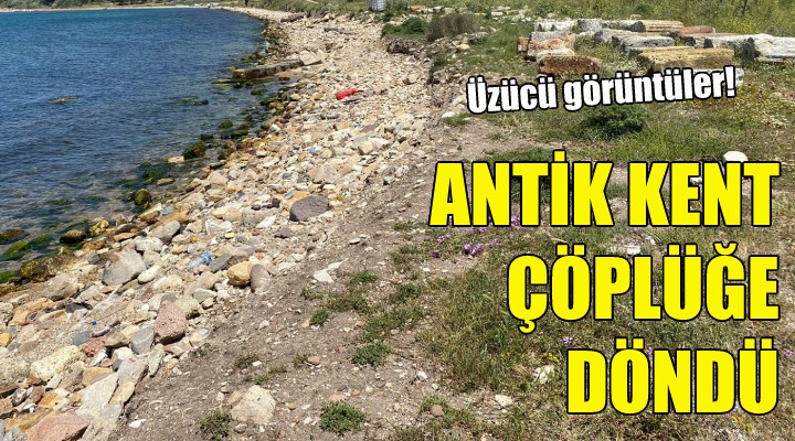 Kyme Antik Kenti, çöplüğe döndü!