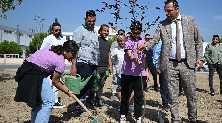 Laka'da yeni bir hayat yeşeriyor