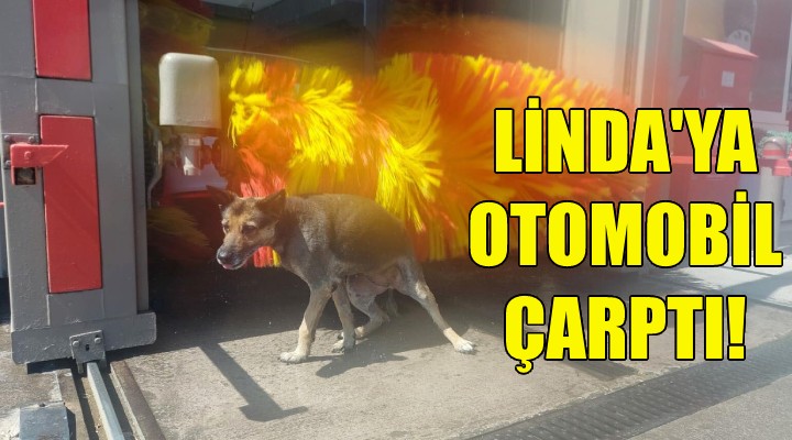 Linda'ya otomobil çarptı!